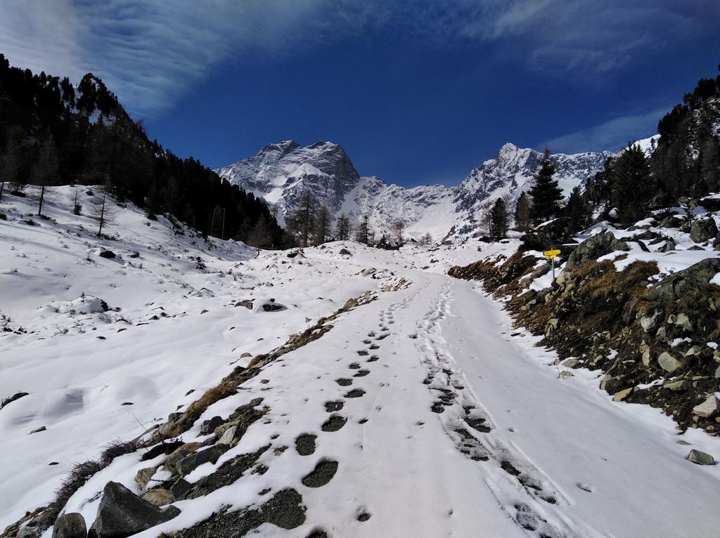 Haus Schoderbock Lägenhet Sankt Leonhard im Pitztal Exteriör bild